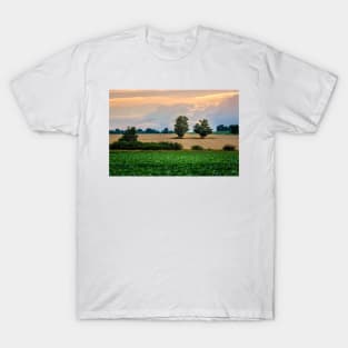 Two Trees In Wheat Field 3 T-Shirt